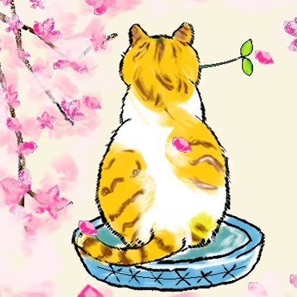 秦艽淡淡紫