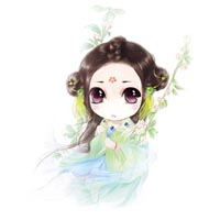 十四姨