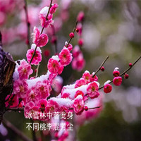依稀如夢