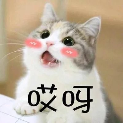 荷沿桃