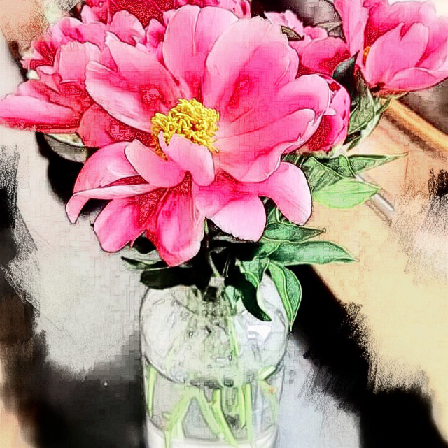 幽非芽