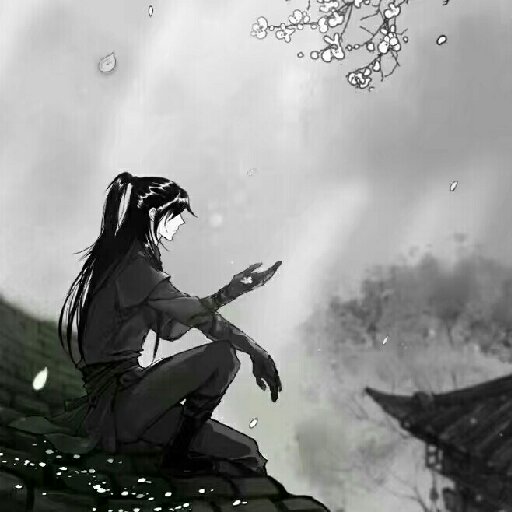 洛祎人