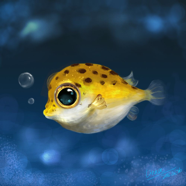 沿海淚帶魚