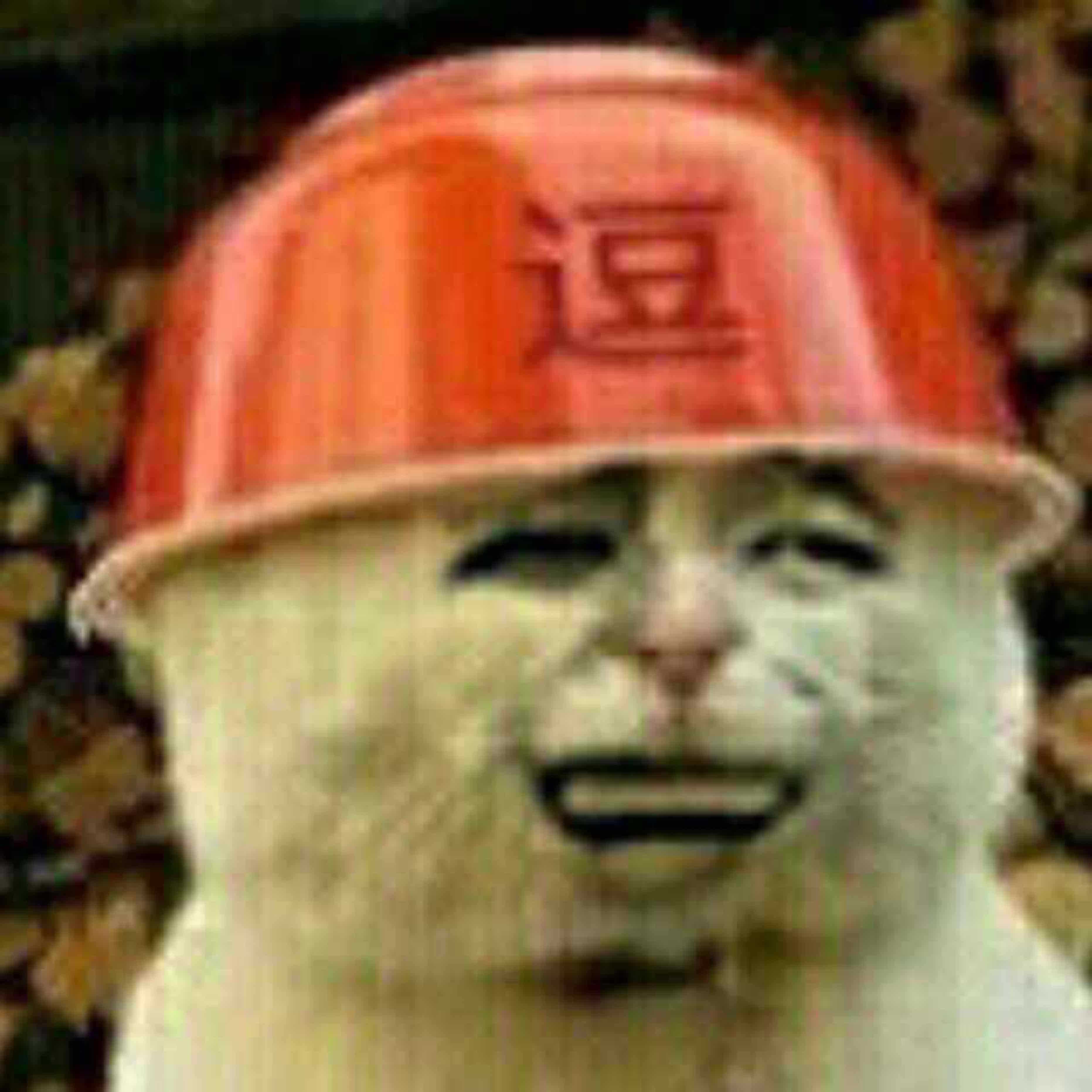 自在觀