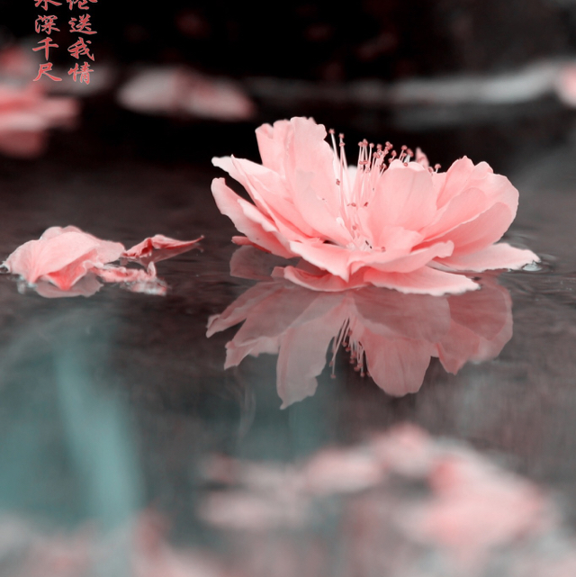 冉三花