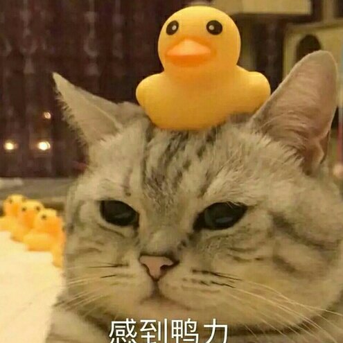 塵歸雨落