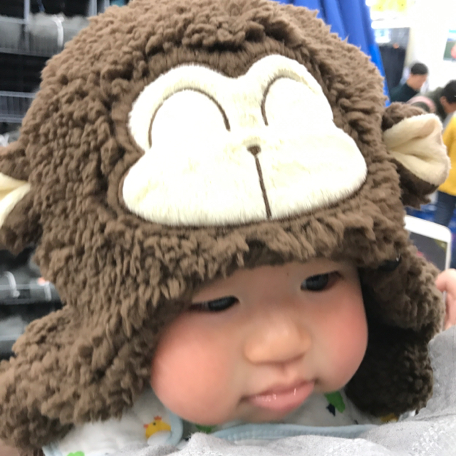 九筒骨
