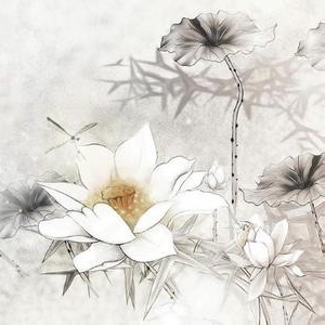 蘇容葉
