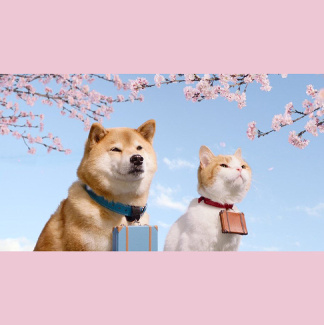 小心上