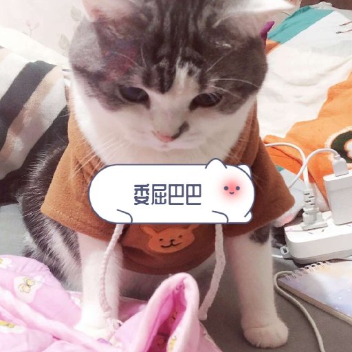 默溪