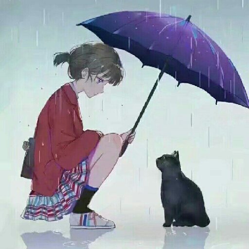 慕疏