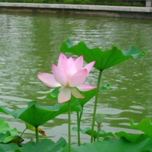 藍云汐