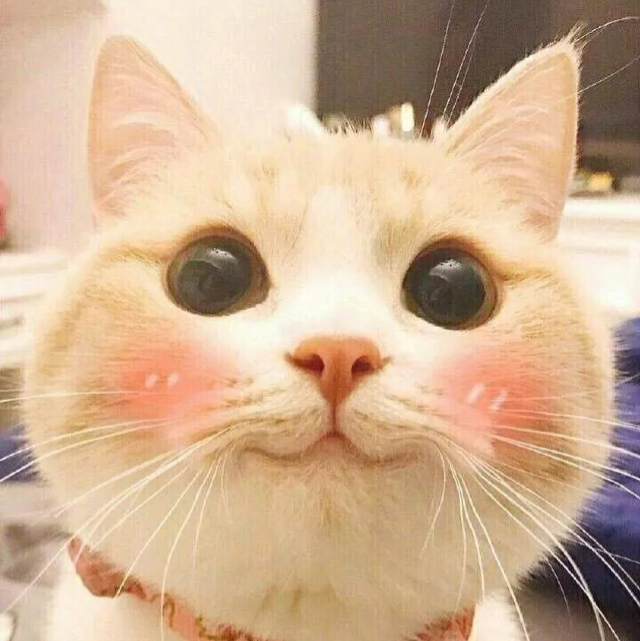 梨落晚晚