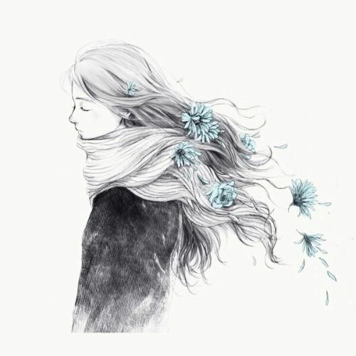 木芙蓉1980