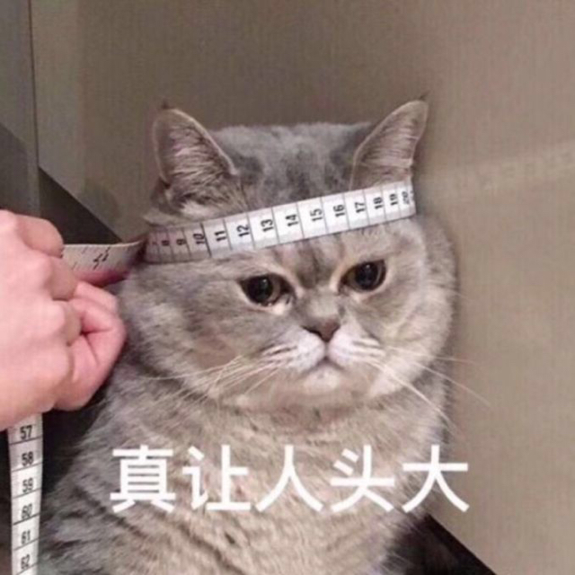 喬叮叮