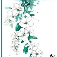 寒無衣