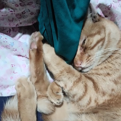 孟靈筠