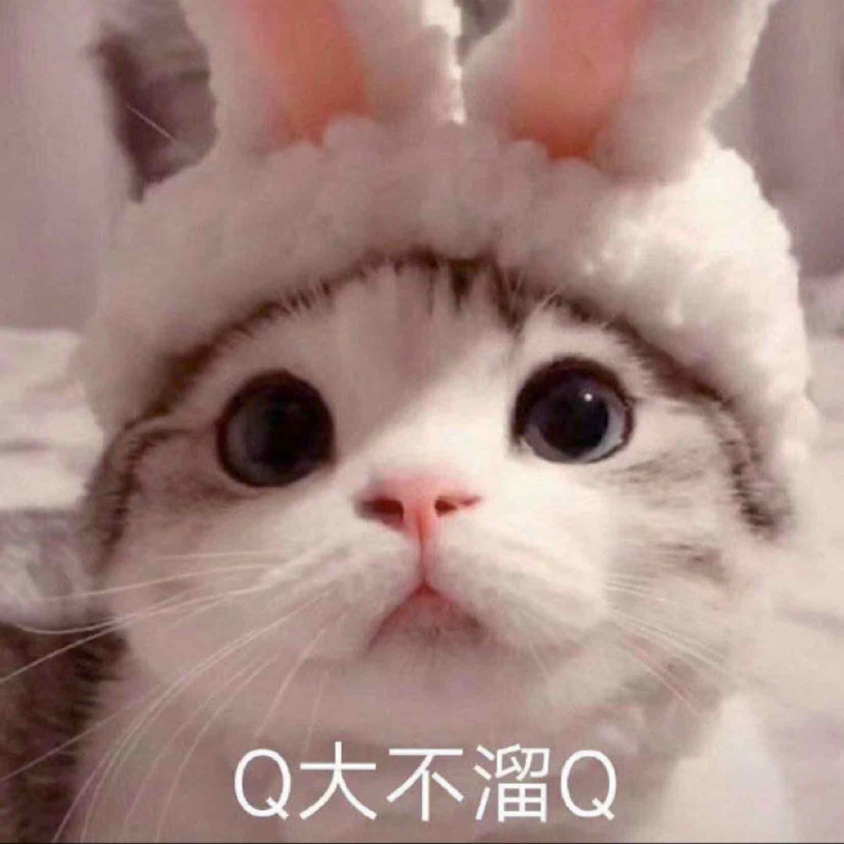 顧淺兮