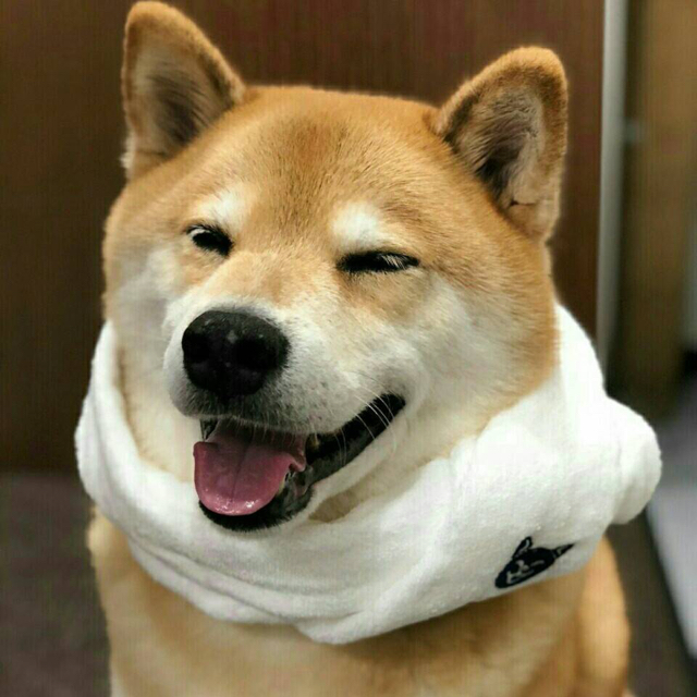 夢思煙雨愁