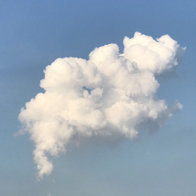 本大仙