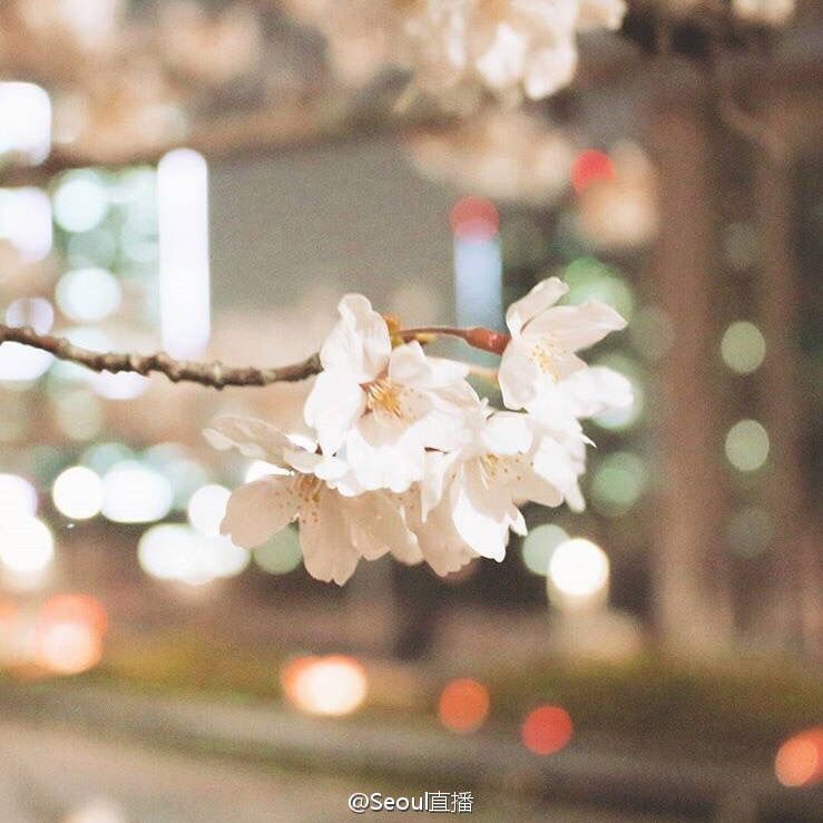 麥暖