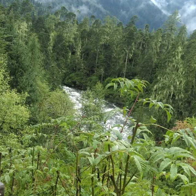 采清