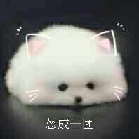 何鹿淺