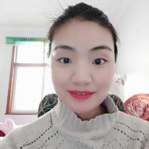 城市的陽光