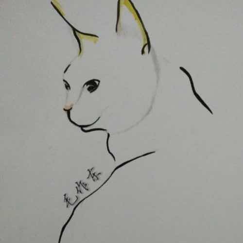 貓叔毛作東
