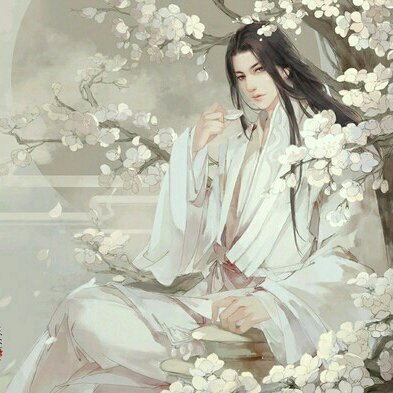 陌懷庭