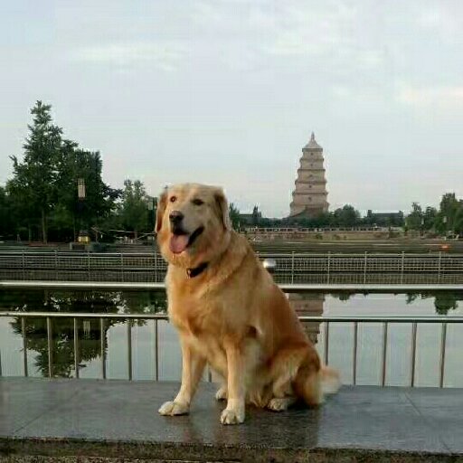 舒白念