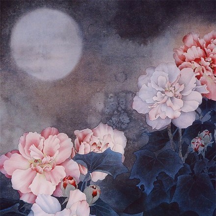 楚翎羽