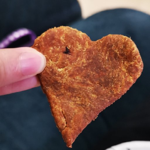 小花貓種魚