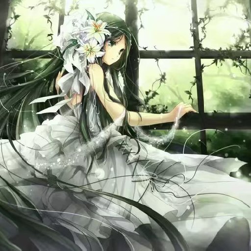 君陌蝶依