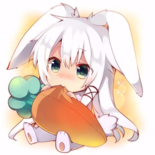 云呀呀