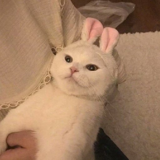 月瞞