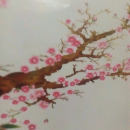 冷卉惜霜