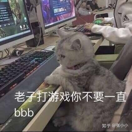 豬烈烈