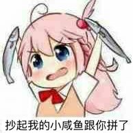 敏白C