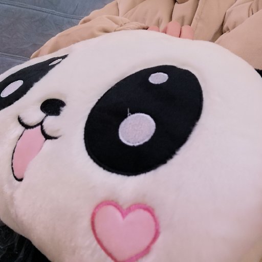 情可晴
