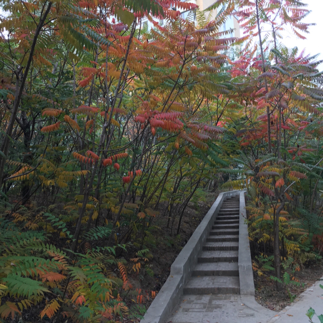 易曉玄