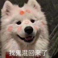 銀墨雨
