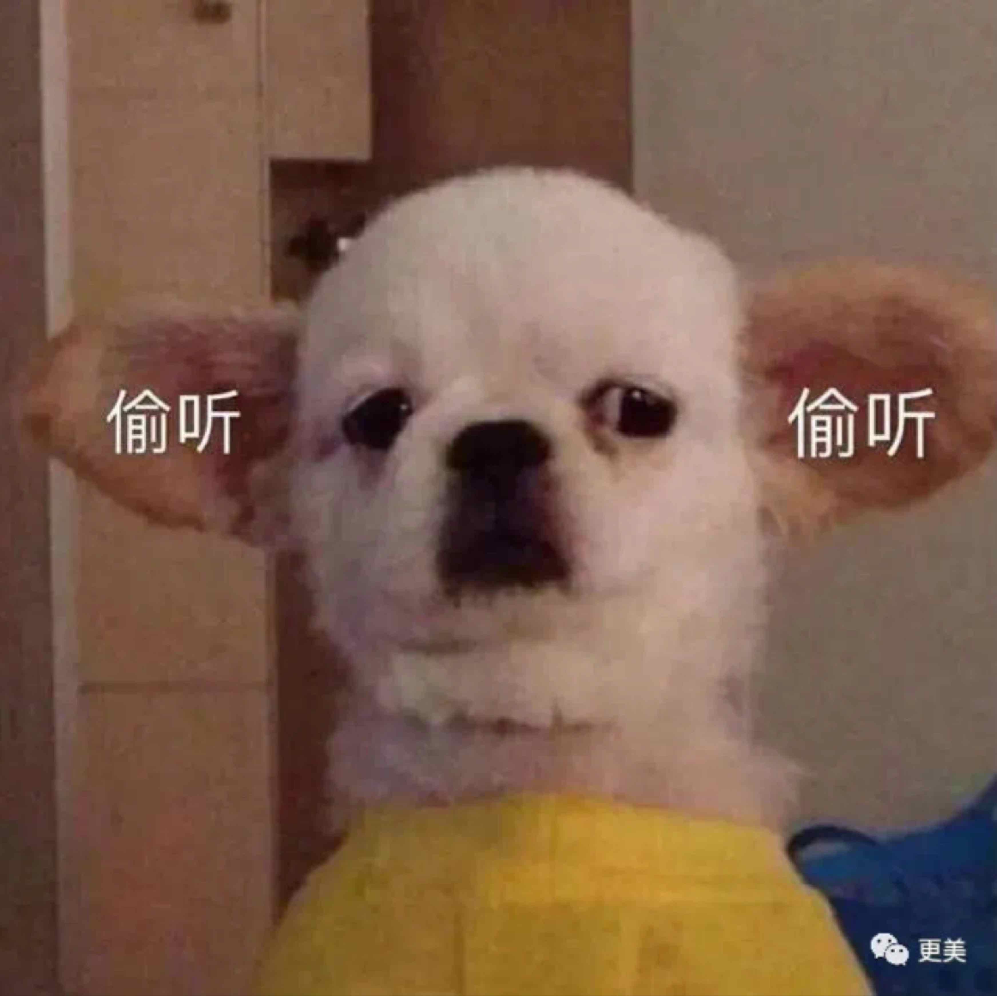 我是你們大神