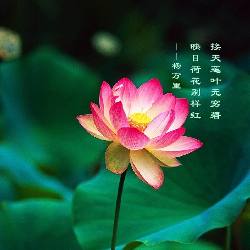 神游居士