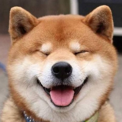 神秘道人