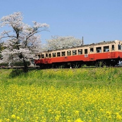 火車大王