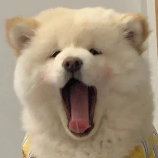 小燕亂流年