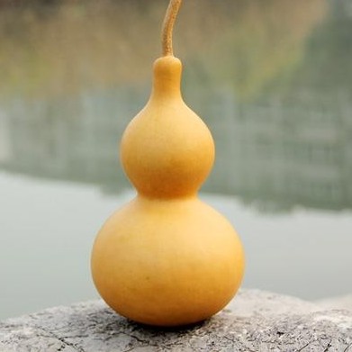 雪中孤飲