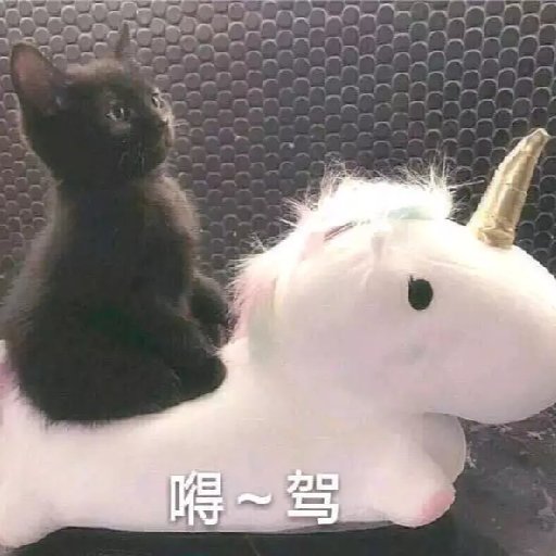 顏舞許