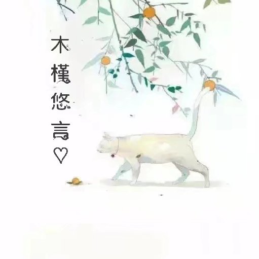 木槿悠言